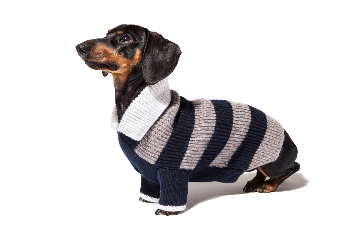 FabioDeStefano-doglife-5890